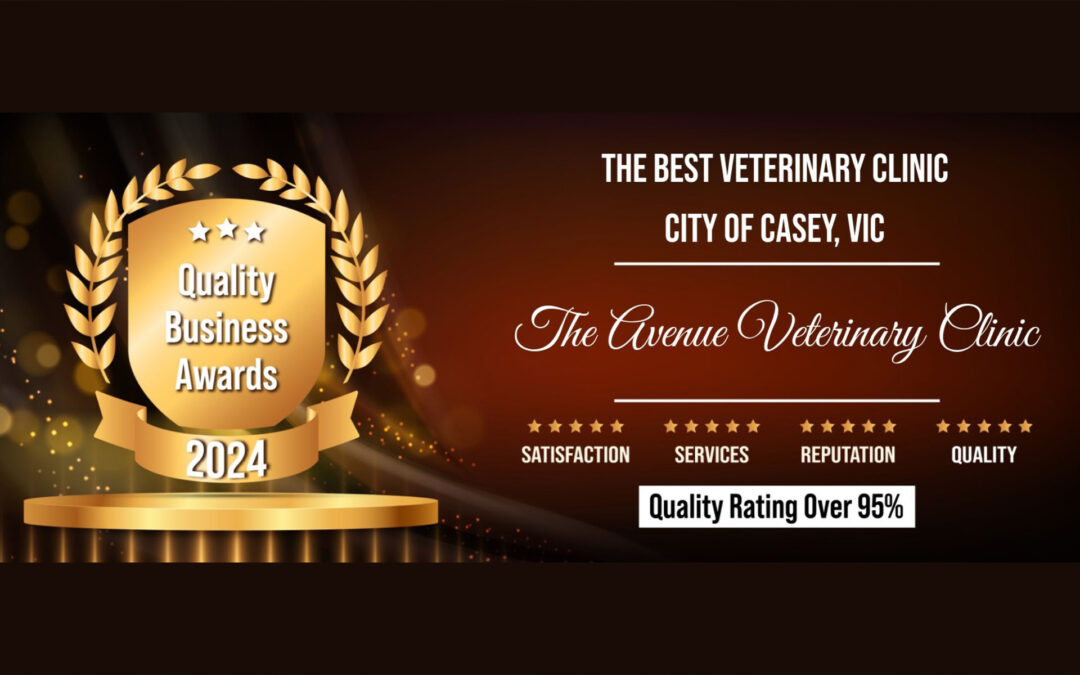 Best Veterinary Clinic of the City of Casey
