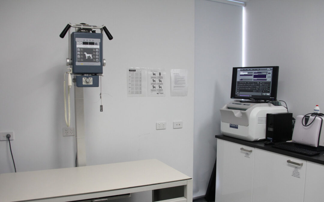 X-ray